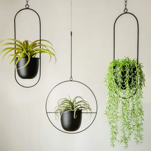 Vista 4 de RISEON Colgador bohemio de metal negro para plantas, maceta colgante de pared y techo de metal, maceta moderna, soporte para macetas de mediados