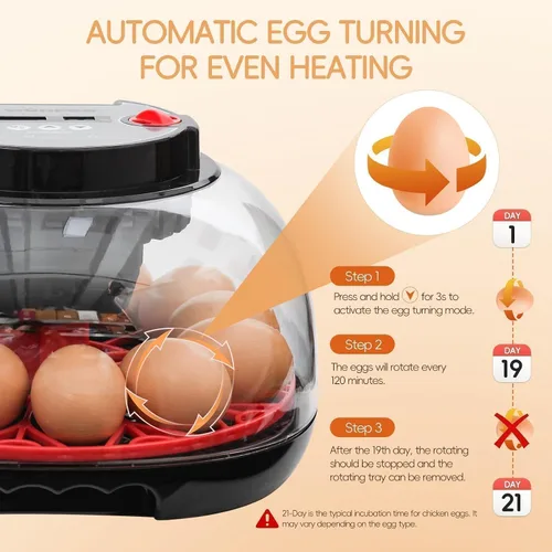 Vista 3 de ZEMIRO CHARGE Incubadora de 12 huevos con giro automático, control de humedad, vela LED para huevos, y adición automática de agua, para incubar