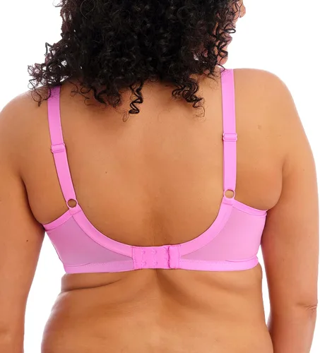Vista 2 de Elomi Women's Plunge