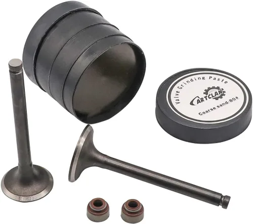 Vista 2 de Válvula de escape de admisión del motor y kit de sello para Club Car Gas 1992 en adelante DS & Precedent carrito de golf con motores FE290 OEM #