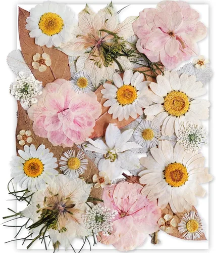 Vista 18 de 14 Tipos 37 piezas Flores Azules Secas Prensadas para Moldes de Resina, YouthBro Flores Secas Naturales Prensadas para Manualidades de Arte DIY