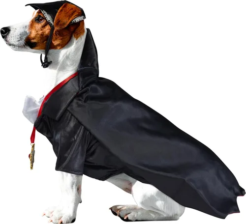Vista 3 de Rubies disfraz de la colección de monstruos de películas clásicas para perro
