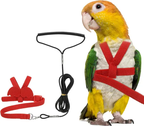 Vista 9 de Correa de arnés para pájaros, arnés ajustable para pájaros y loros para mascotas, ligera, antimordeduras, cuerda de entrenamiento de vuelo con linda