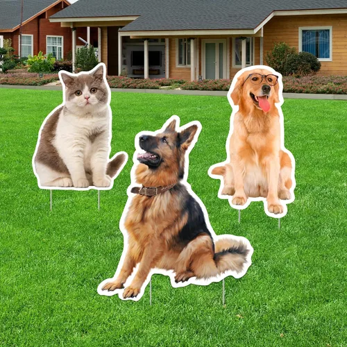 Vista 4 de Recortes personalizados de Coroplast para mascotas de tamaño real de cualquier fotografía, recortes personalizados de cuerpo completo para mascotas