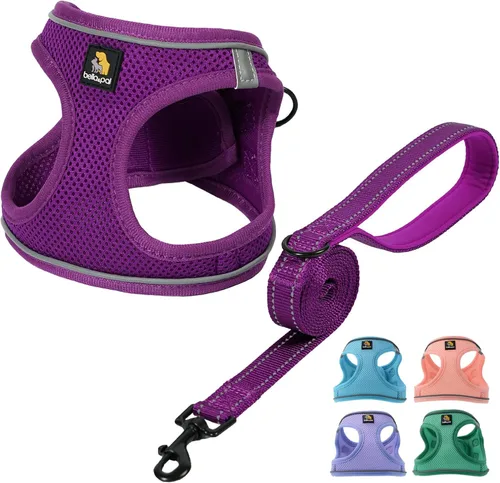 Vista 17 de BELLA & PAL Arnés de chaleco con entrada por pasos para perros pequeños y medianos, arnés para perros pequeños sin tirones con juego de correa