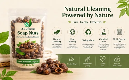 Vista 4 de BSD Organics Nueces de jabón (Reetha, Areetha, kunkudukaialu) - 2.2 lbs (bolsa gratis)(2.2 libras)