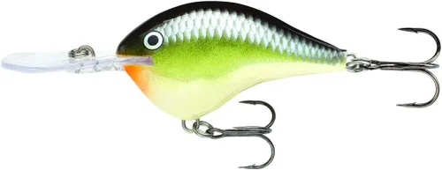 Vista 4 de Rapala DT (Dives a)