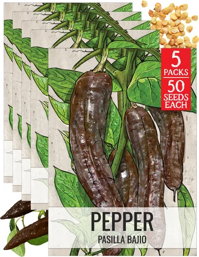Vista 41 de Seed Needs - Semillas de pimiento arcoíris para plantar verduras, 1 paquete