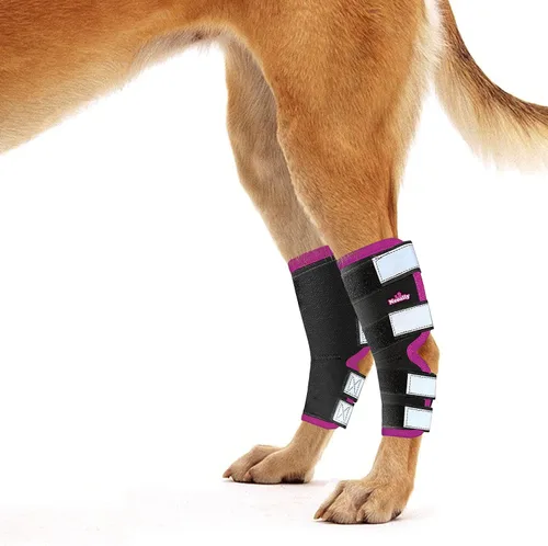 Vista 10 de NeoAlly® - Soporte de pierna trasera, soporte de pierna de perro para pierna trasera, soporte de tobillo y soporte para patas traseras, soporte