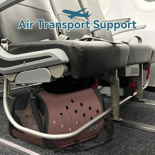Vista 5 de Petsfit Transportador de conejos, 16 x 9 x 9 pulgadas, transportador portátil con orificios de ventilación, transportador de conejillos de indias