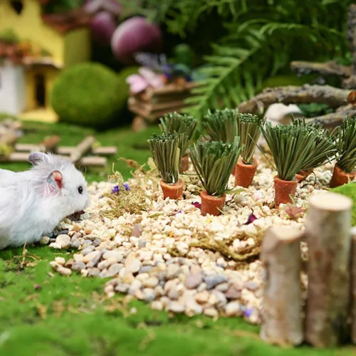 Vista 5 de GANAZONO Conejo masticable zanahorias animales pequeños palitos de dentición hámster masticar juguetes naturales cuidado dental mascota masticable