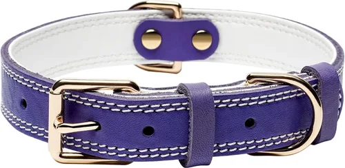 Vista 12 de Collar de perro de cuero genuino, collar de perro resistente para perros pequeños, medianos, grandes y extra grandes