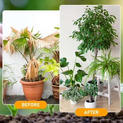 Vista 4 de 2 Piezas de Activadores de Suelo, Activadores de Suelo Orgánicos y Fertilizantes para Plantas, Activador Pro de Suelo, Fórmula Soluble en Agua