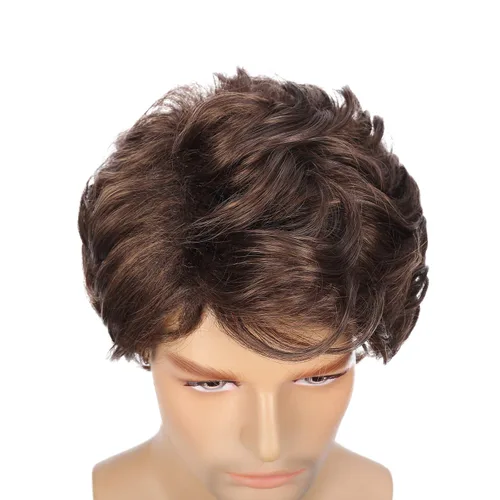 Vista 5 de Kaneles Pelucas para hombre, color marrón, corto, rizado, lanudo en capas, cosplay, Halloween, disfraces diarios, peluca masculina