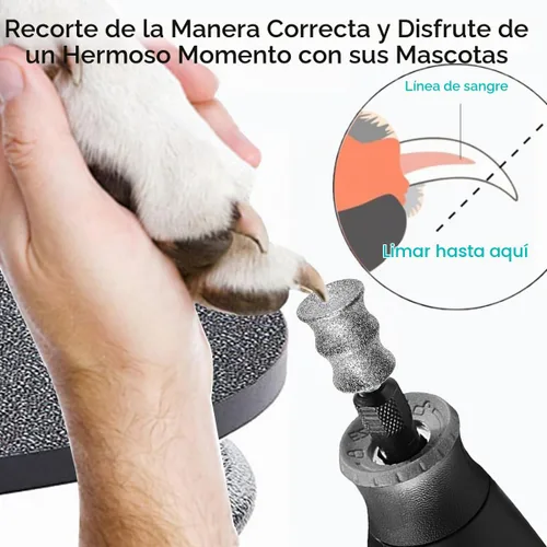 Vista 3 de Dremel - Herramientas para recortar uñas para perros, aseo y alisado de patas para perros medianos y grandes, accesorio para amoladora de uñas