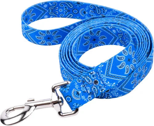 Vista 13 de Country Brook Design® Correa para perro Native Arizona de 1 pulgada - 6 pies Arizona nativa