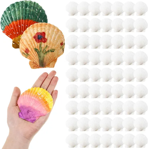 Vista 7 de Glikceil 100 unidades de conchas de vieira a granel para manualidades