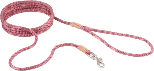 Vista 248 de Alvalley Correa para perros estilo broche – Correa de nailon estilo broche para perros – Fácil de manejar – Perfecto para perros pequeños, medianos