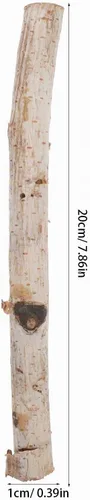 Vista 2 de 20pcs ramas de abedul naturales ramitas de abedul palillos para accesorios de foto palos de madera arreglo floral