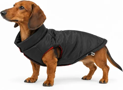 Vista 22 de DJANGO Abrigo de invierno reversible para perros con acolchado – Chaqueta de invierno cálida para perros y abrigo aislante repelente al agua
