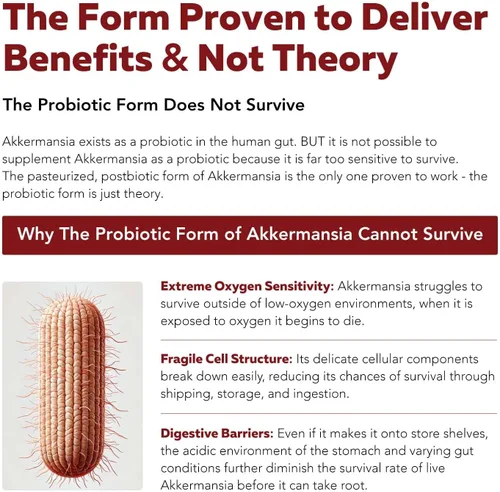 Vista 5 de AK-Postbio: Akkermansia Probiotic 30 mil millones de TFU - Fuerza máxima, dosis clínicamente validada y cepa patentada - Forma pasteurizada