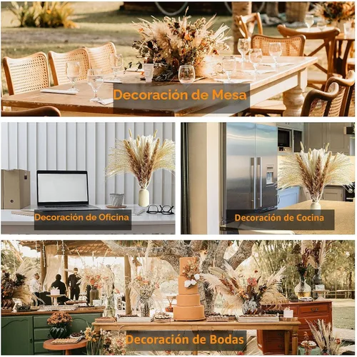 Vista 7 de 100 piezas pequeñas de hierba de pampas boho, 17" pampas secadas naturalmente, decoración de hierba de pampas para bodas, decoraciones de fiesta