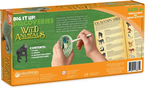 Vista 8 de MindWare - Juego de excavación Dig It Up! Discoveries