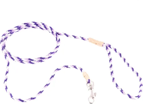 Vista 262 de Alvalley Correa para perros estilo broche – Correa de nailon estilo broche para perros – Fácil de manejar – Perfecto para perros pequeños, medianos