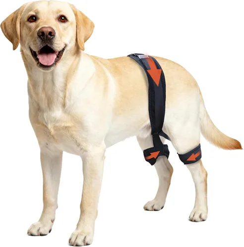 Vista 8 de Soporte de cadera para perro para displasia de cadera, soporte ajustable de cadera para perro con compresión específica, estabiliza