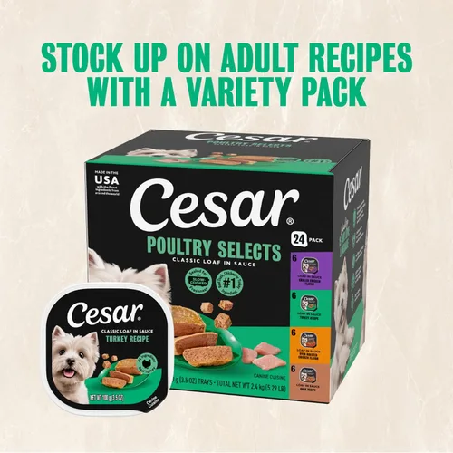 Vista 25 de Cesar Classic Loaf in Sauce - Alimento húmedo para perros adultos, sabor a tocino y huevo, comida húmeda para perros, bandejas fáciles de despegar