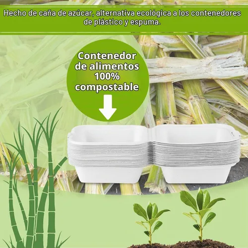 Vista 4 de greensight Envases para llevar desechables 6x6, paquete de 100 envases para alimentos en forma de concha, cajas compostables para llevar, envases