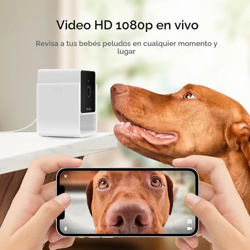Vista 5 de Petcube Cam The Pack de 2 Cámara de seguridad para mascotas Wi-Fi para interiores con aplicación de teléfono, audio y video bidireccional, visión