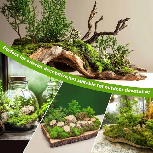 Vista 4 de Sukh Musgo preservado – Musgo de 3.5 onzas para manualidades, musgo sintético de musgo verde natural, arte para pared, terrarios de musgo floral