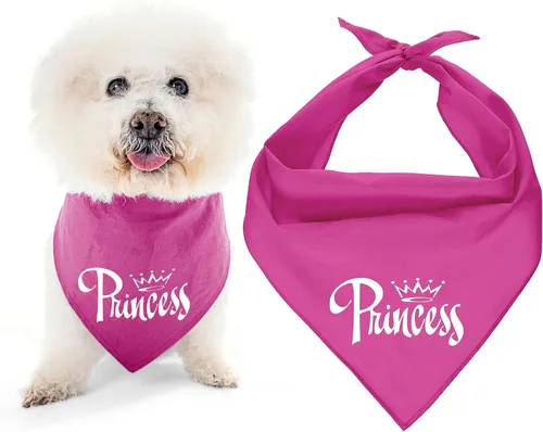 Vista 20 de Parisian Pet Bandanas naranjas para perros – Bandana ajustable para cachorros – Accesorios para perros para niños y niñas – Pañuelo para perros Best