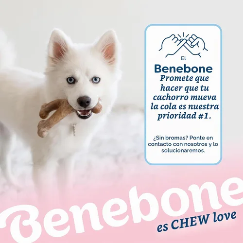 Vista 6 de Benebone Puppy Wishbone - Juguete masticable para perro, fabricado en Estados Unidos, sabor a tocino real, pequeño
