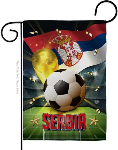 Vista 89 de Bandera del equipo de la Copa Mundial de la FIFA 2022 con bandera de Argentina para decoración del hogar al aire libre, arte de pared