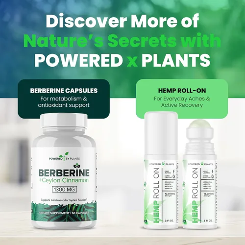 Vista 8 de Suplementos NAD+ con resveratrol 1500 mg - Suplemento alternativo liposomal Nad Plus que potencia NMNH para hombres y mujeres - Apoya la salud