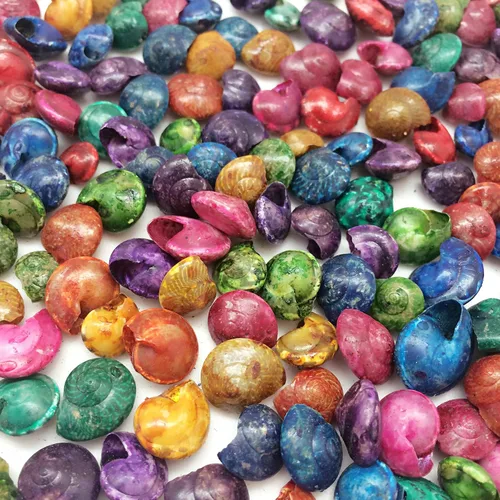 Vista 7 de PEPPERLONELY Conchas marinas teñidas de colores surtidos, 5 onzas, tamaño 1/4 pulgada