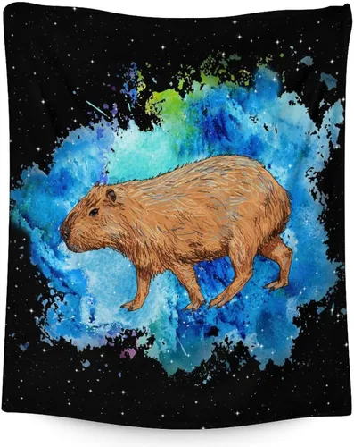 Vista 17 de Mantas temáticas de animales para niños, tamaño regazo de 30 x 40 pulgadas, manta de felpa suave y peluda para regalo, mantas negras para cama, sofá