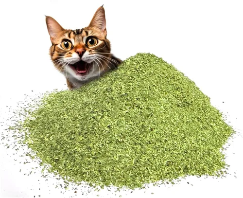Vista 6 de Fiend Hierba gatera + Silvervine para gatos y gatitos Mezcla de nip fina premium de corte seguro con vid plateada vegana + ultra potente, América
