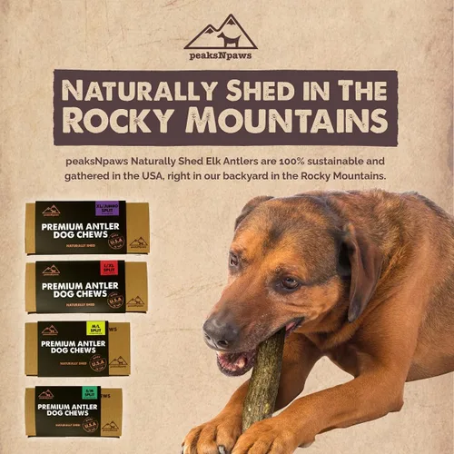 Vista 3 de peaksNpaws Cuernos de alce partidos de grado A totalmente naturales para perros, desprendidos naturalmente en las montañas rocosas, sin aditivos