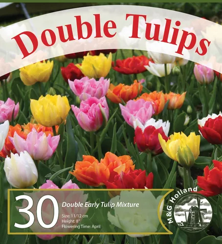 Vista 2 de Mezcla Doble de Tulipanes - 30 Bulbos de Tulipán Perennes