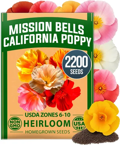 Vista 53 de HOME GROWN Semillas de zinnia rosa – 300 zinnias Luminosa 0.5g, semillas anuales de flores fáciles de cultivar para plantar al aire libre para 2026
