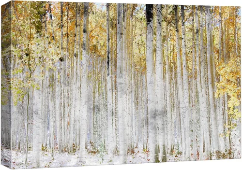 Vista 47 de wall26 Lienzo impreso para pared, diseño rústico, marrón, otoño, bosque, árbol, paisaje, naturaleza, ilustraciones de área silvestre, arte moderno