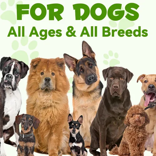 Vista 8 de Probióticos para perros, probióticos 3 en 1 para perros, probióticos para perros para apoyo digestivo, suplementos probióticos para perros
