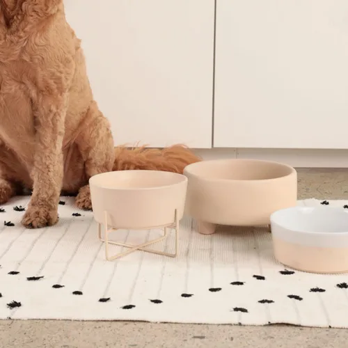 Vista 2 de Waggo Uplift - Tazón de cerámica para perros para razas pequeñas, medianas y grandes, pesado y duradero, para alimentos y agua, apto para Crema