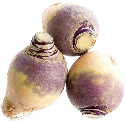 Vista 2 de Rutabaga (parte superior púrpura americana), más de 150 semillas de reliquia por paquete, semillas de jardín de Isla (semillas de jardín de Isla)
