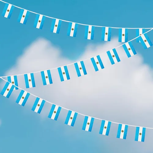 Vista 4 de Bandera de Cuerda Argentina de 100 Pies, 76 Piezas Bandera Estandarte Argentina, Pequeñas Mini Banderas del Mundo para Eventos Deportivos