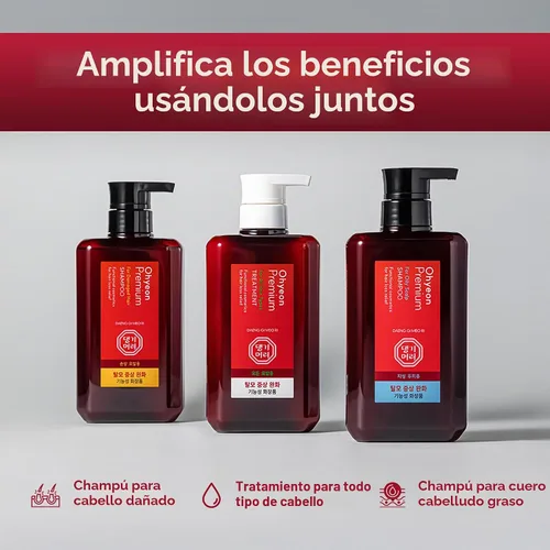 Vista 9 de Daeng Gi Meo Ri Ohyeon Premium - Suero y tratamiento capilar, 16.9 fl oz