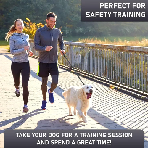 Vista 6 de Biothane - Correa para perro extra resistente, fabricada en Estados Unidos, correas impermeables para perros grandes, medianos y pequeños, correa